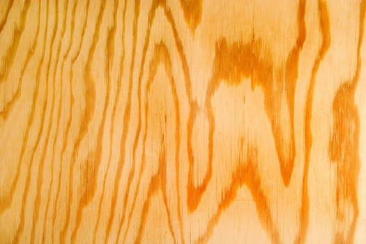 Wood Texture