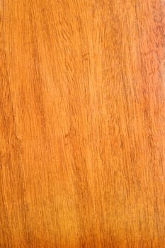 Wood Texture