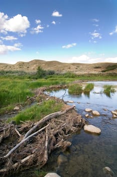 Beaver Dam