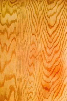 Wood Texture