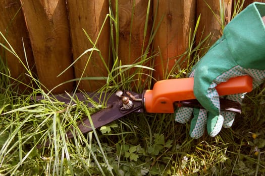Cutting grass