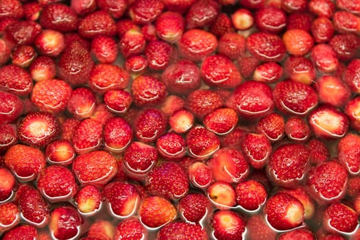 Strawberries in Water Background