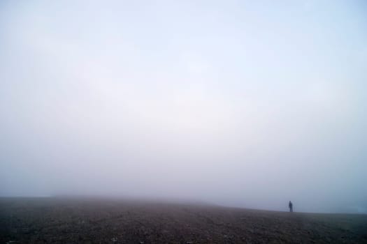 Fog Walk