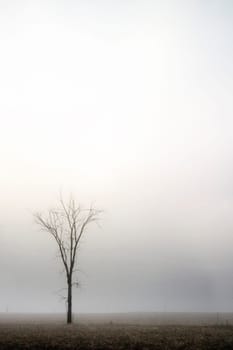 Alone