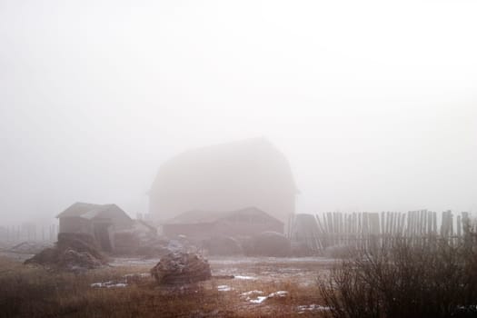Fog on the Farm