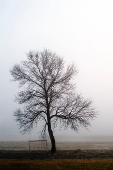 Alone