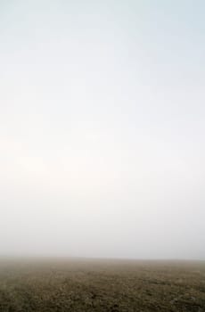 Prairie Fog