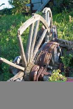 Wagon Wheel