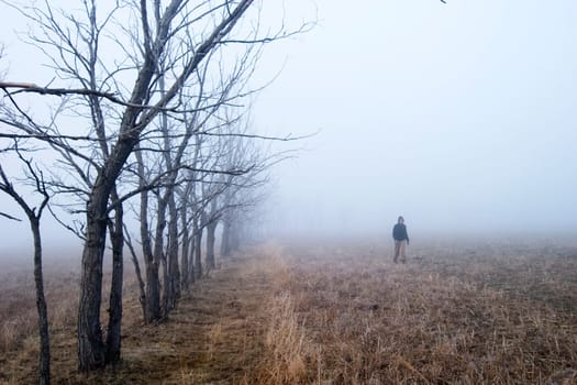 Fog Walk