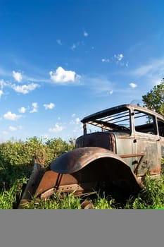 Overgrown Antique Car