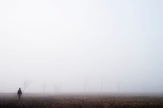 Fog Walk