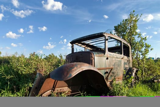 Overgrown Antique Car