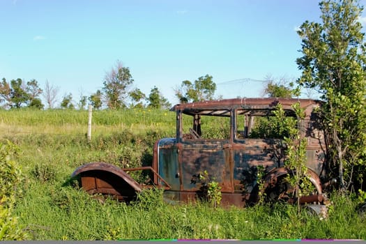 Overgrown Antique Car