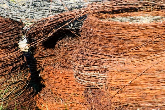 Barbed Wire Texture