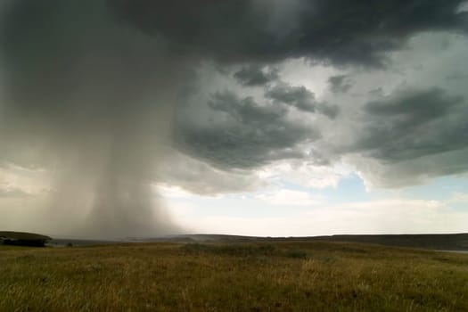 Rain Cloud
