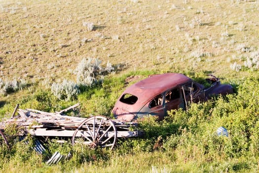 Overgrown Antique Car