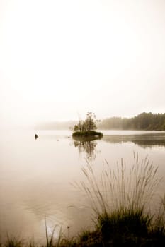 Peaceful Lake