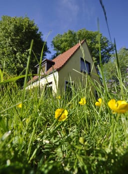 a house in the green grass recorded in WW