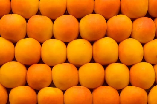Fresh apricots