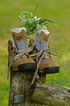 Walking shoes