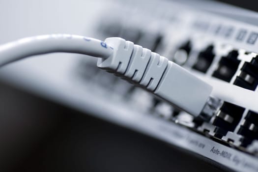 Network cable connected to a switch