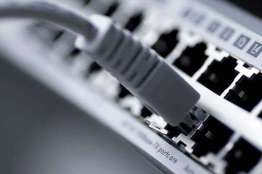 Network cable connected to a switch