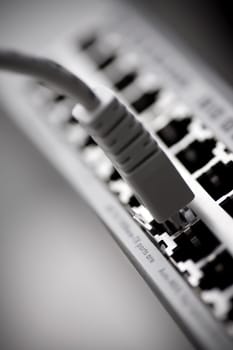 Network cable connected to a switch