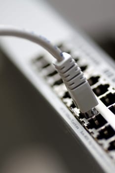 Network cable connected to a switch