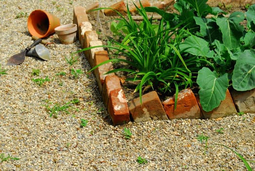gardening
