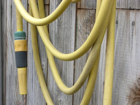 Yellow garden hose hanging on wooden wall