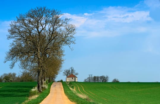 Landscape in the Ile de France