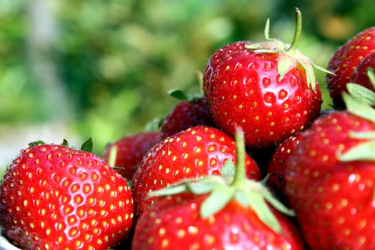 Strawberries
