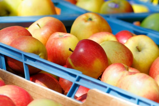 Apples at weekly market