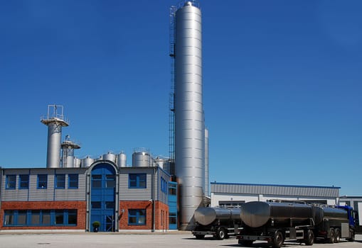 Dairy