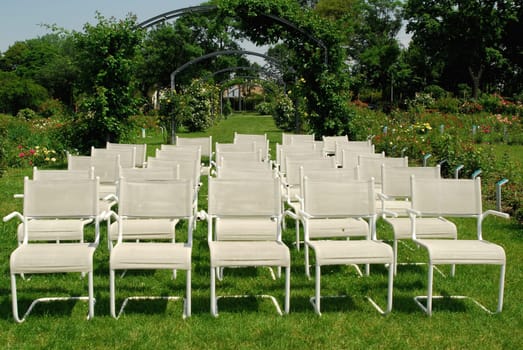 Wedding in the Rose Garden