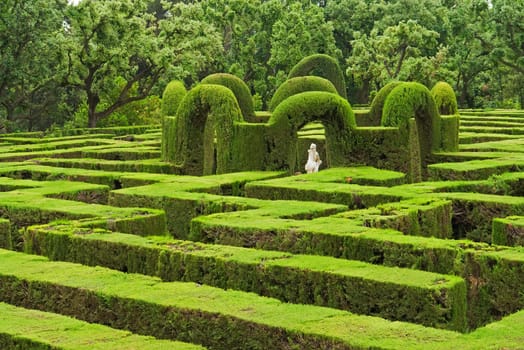 Labyrinth in Barcelona