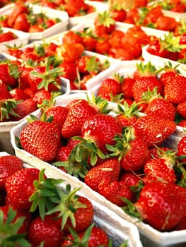 fresh German strawberries