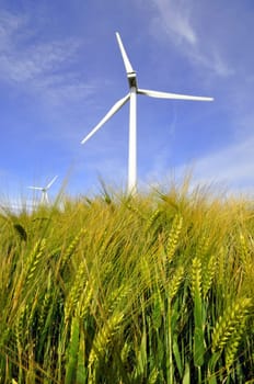A wind turbine in the field with flowers and grain in the foreground