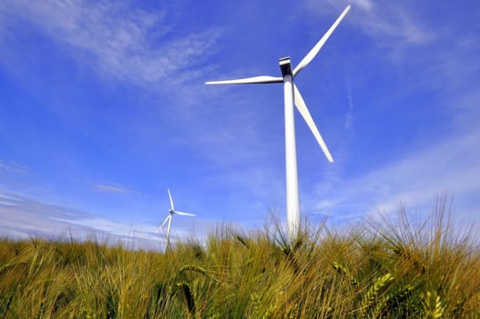 A wind turbine in the field with flowers and grain in the foreground