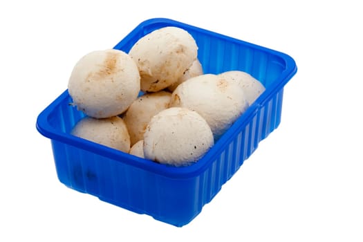 cup of mushrooms