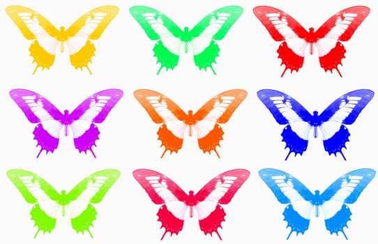 delightful butterfly