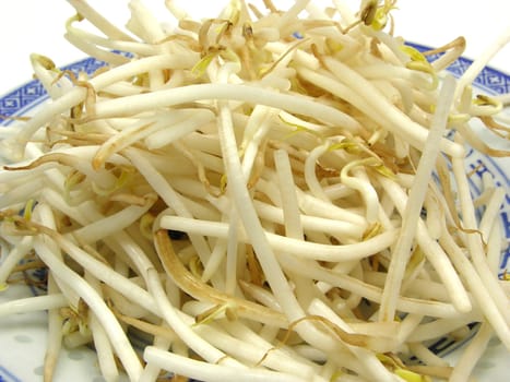 Bean sprouts in close-up on plate