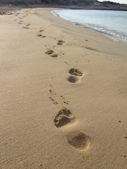 footprints