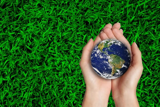The globe into your hands
