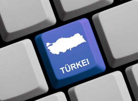 Turkey on the Internet