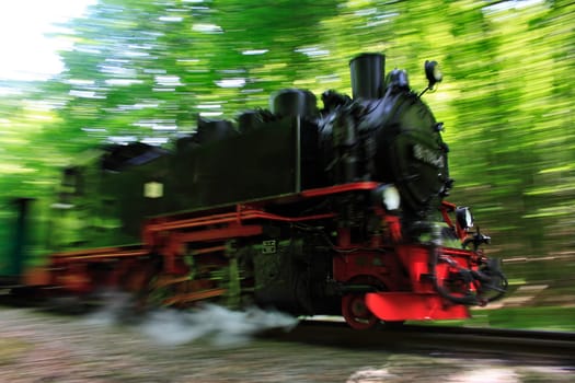 Rügensche Kleinbahn "Rasender Roland"" in the forest of Lancken-Granitz,island of Rügen"
