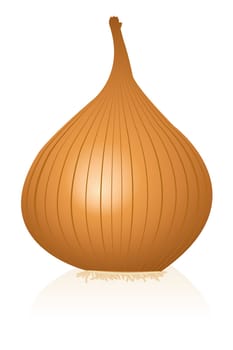 onion