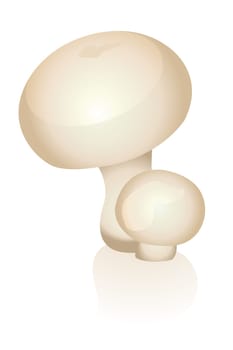 Mushrooms