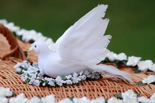 Wedding Dove