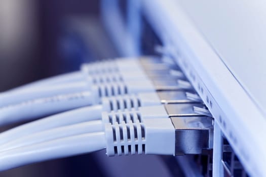 Network cable connected to a switch